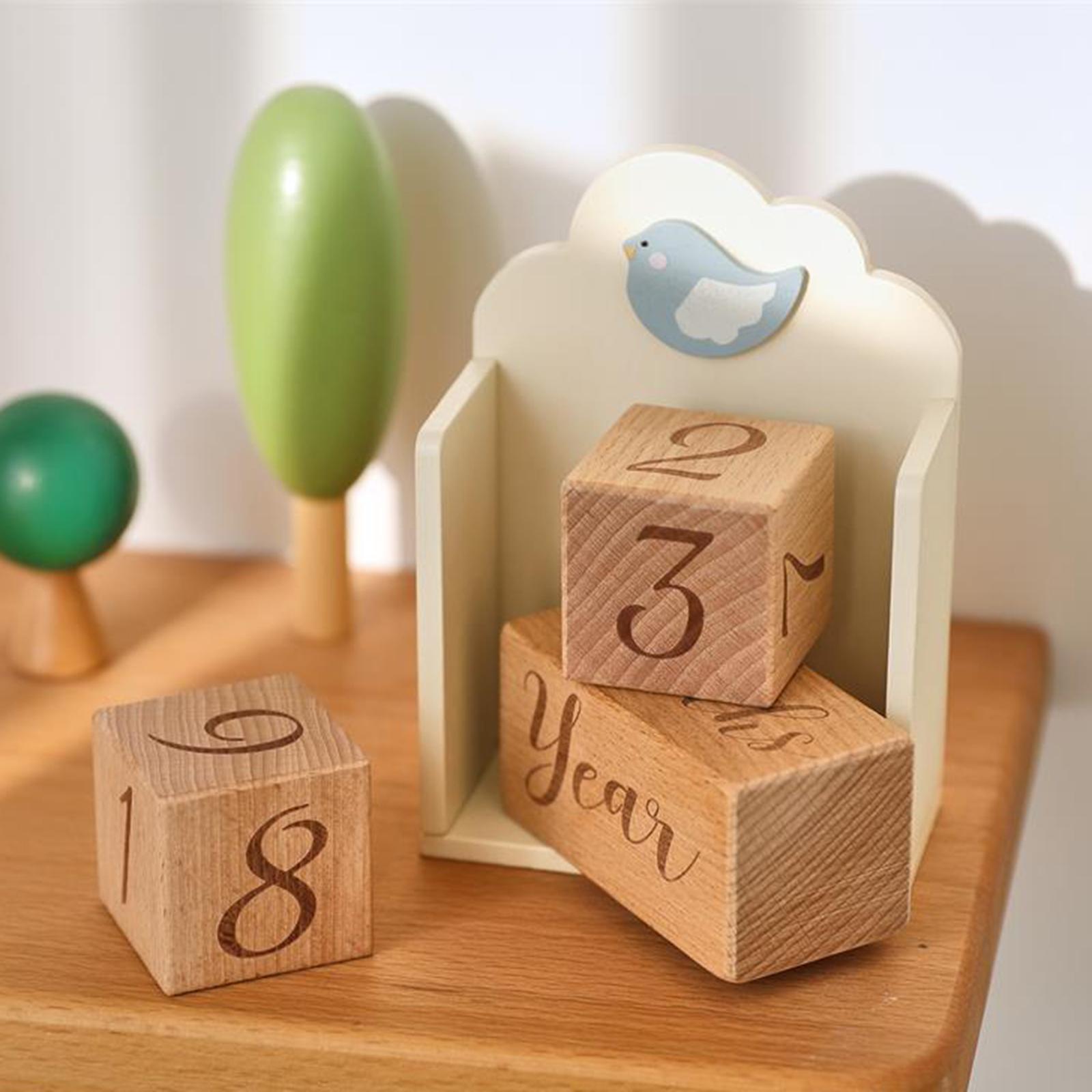 Wooden Baby Age Blocks Unique  - Baby Nursery Age avaliação e preço
